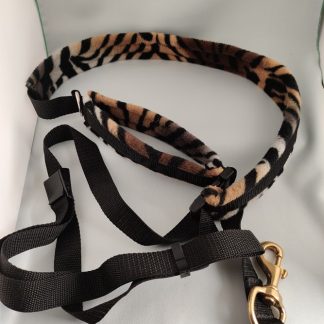 Combined Belt and Leash